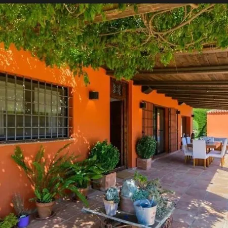 Modern And Cozy Alegria *